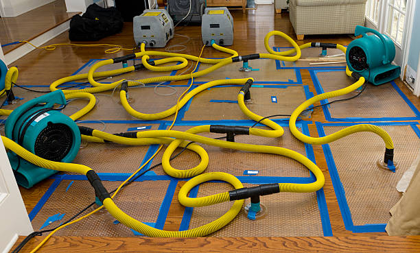 Professional Flood Damage Restoration technician working in Brush, CO